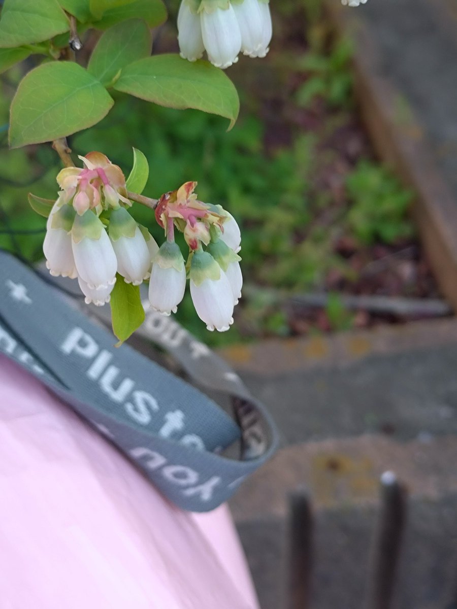 渡辺保裕 汐の匂い tweet media