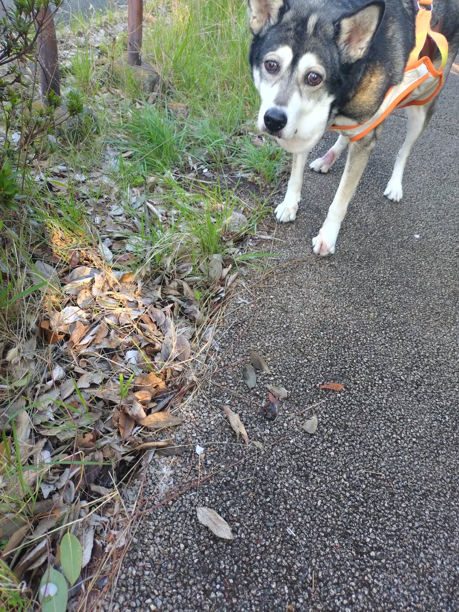 渡辺保裕 汐の匂い tweet media