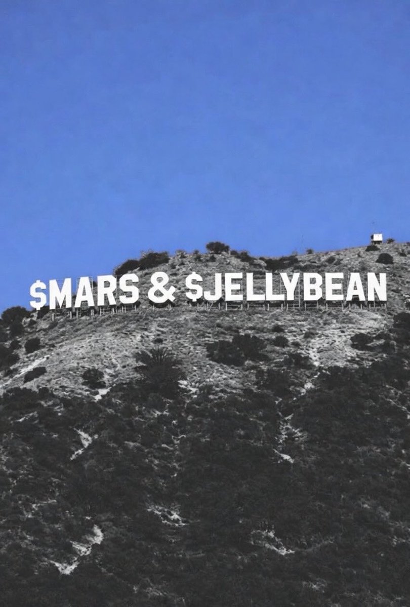 SpongillionaireJoe tweet media