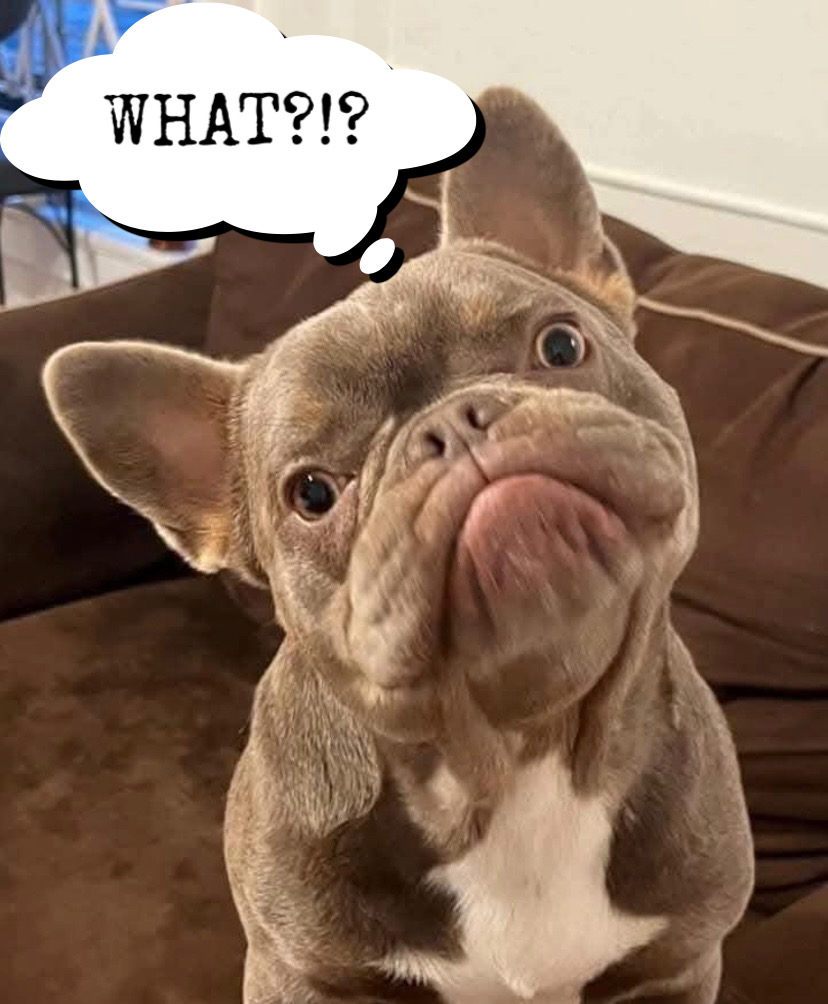 SpiritualStreetfighter 17 tweet media