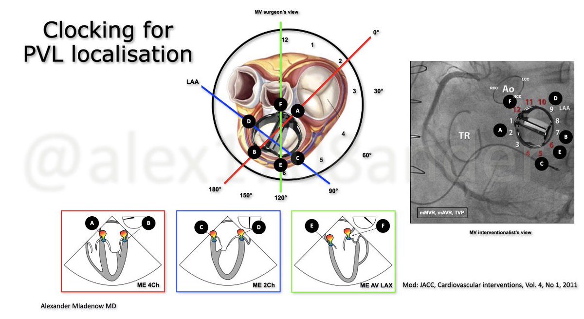 Alexander Mladenow MD tweet media