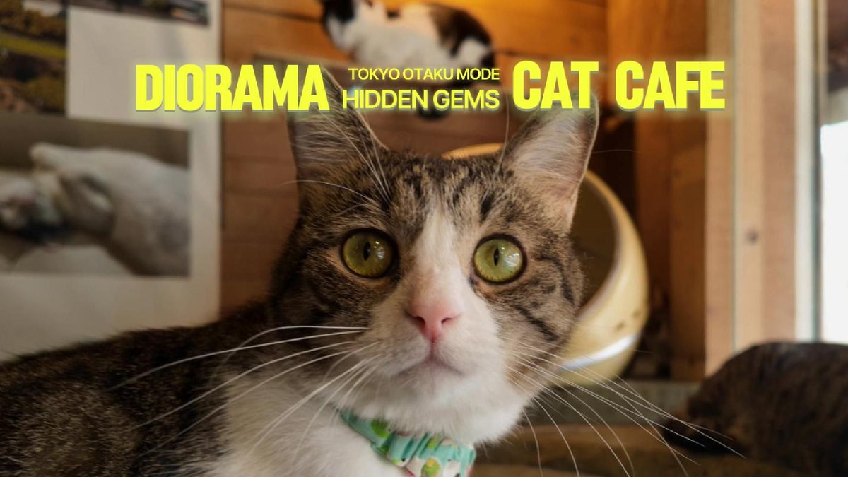 Tokyo Otaku Mode (TOM) tweet media