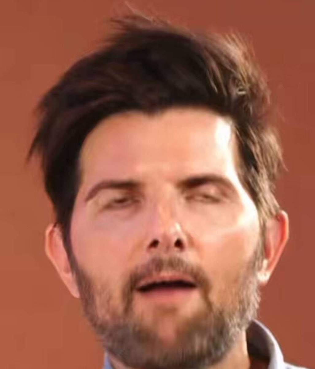 Zo 🍁🥢🦔 tweet media