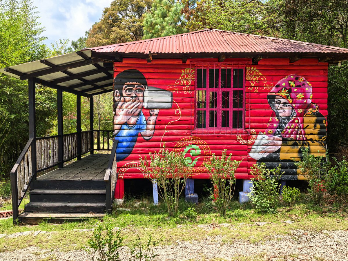 Red Universitaria Anticapitalista tweet media