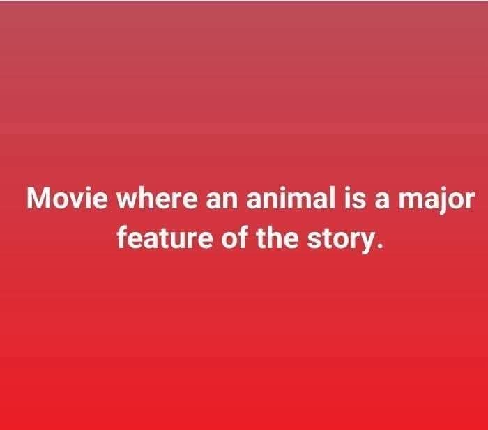 All The Right Movies tweet media