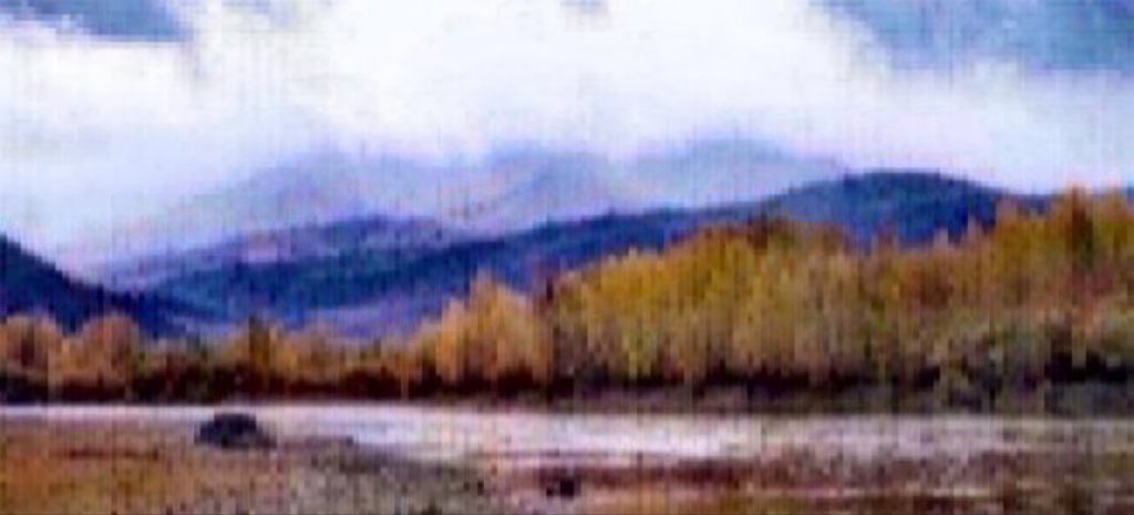 Энхээ tweet media