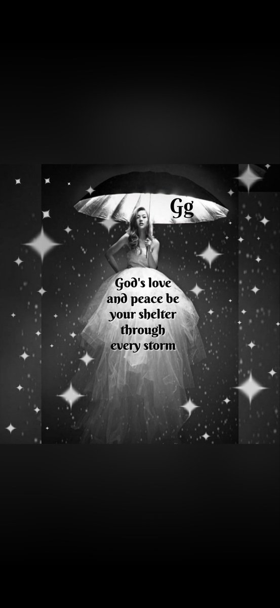 Primrose tweet media