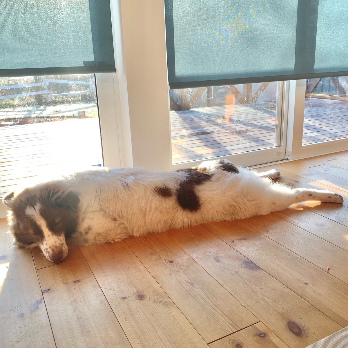 #これが０歳時代だ参ったか