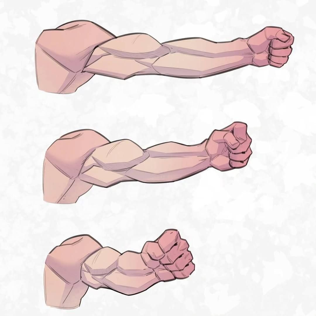 Normal Arm Shape Arm anatomy simplified from different angles