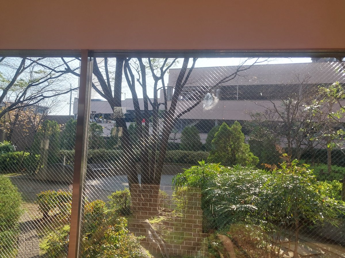 🌸ときみや あまりりす🌸 tweet media