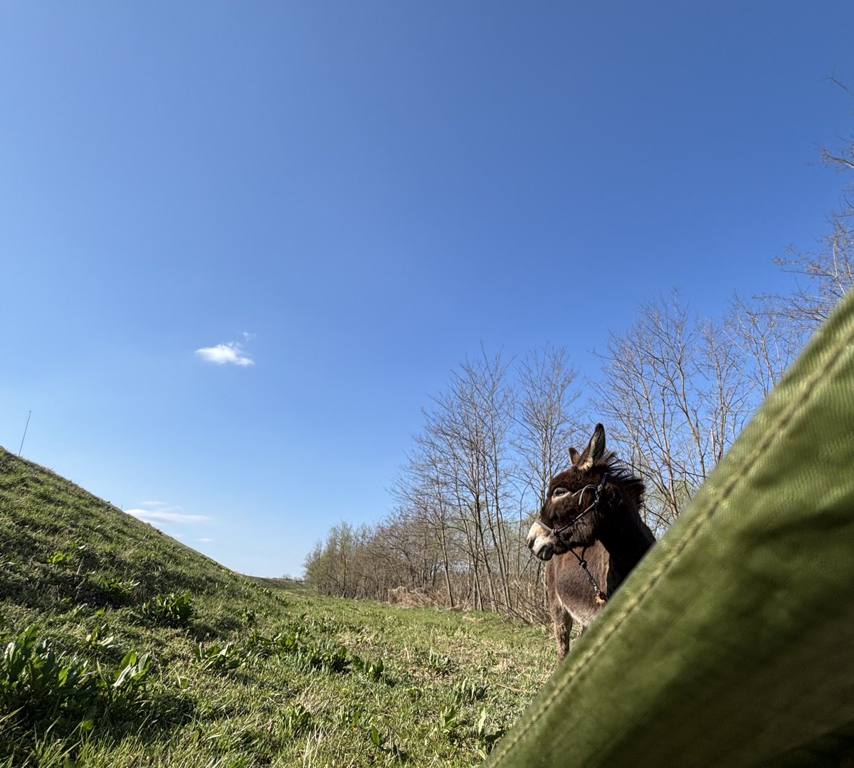 太郎丸 tweet media