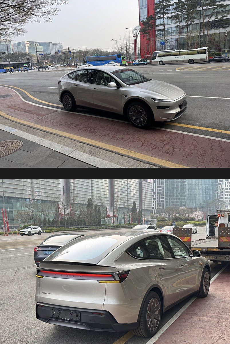 Tsla Chan tweet media