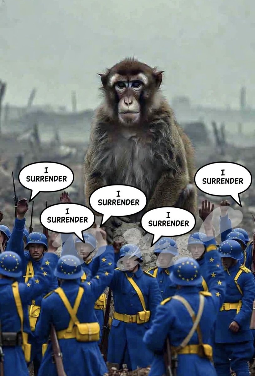 Buko Life tweet media