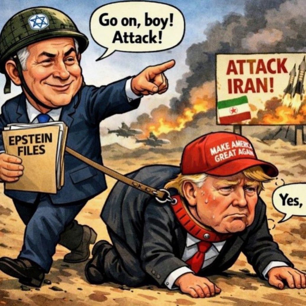 Billy Trivia tweet media