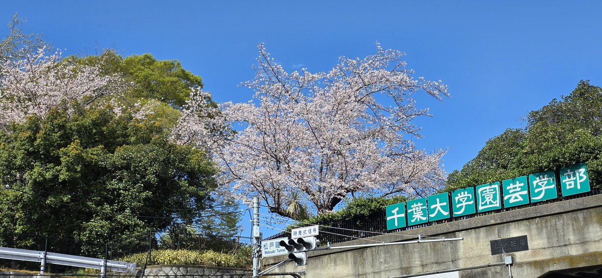 アリヤマダイキ　（聞きしに勝る世紀末） tweet media