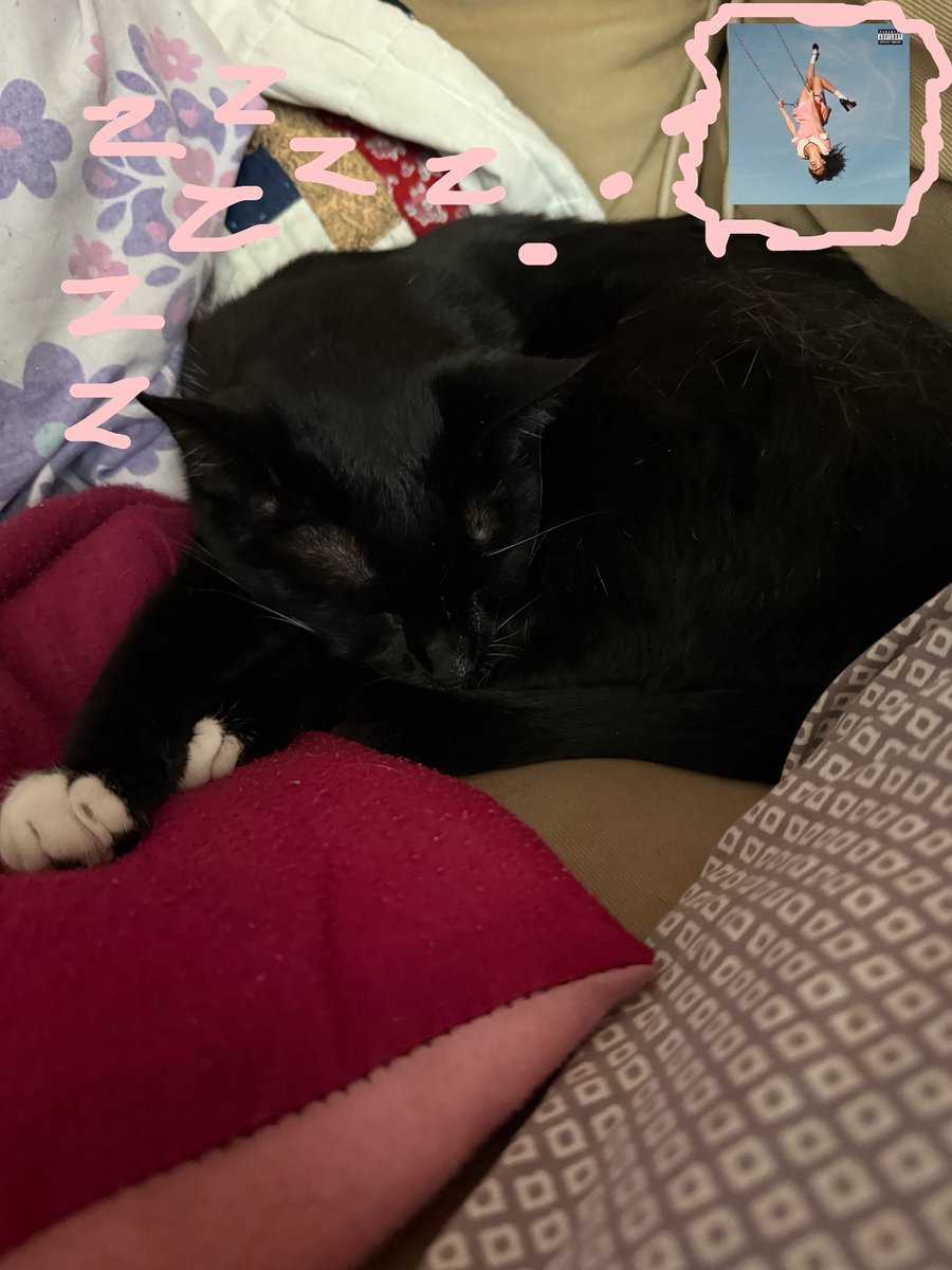 samantha is a girl so in love ❥ 🐾💋🪩 tweet media