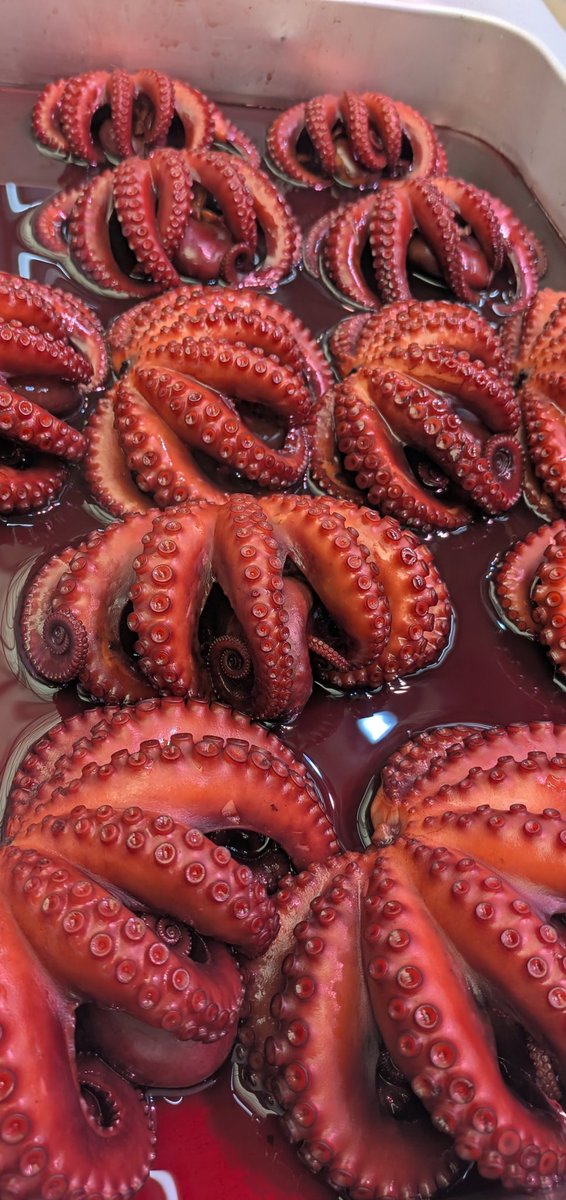 明石魚の棚 座古海産 tweet media