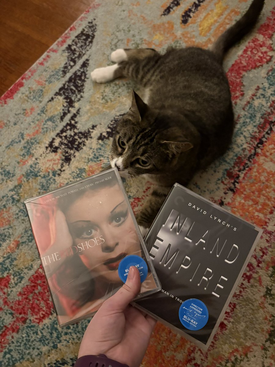 summer🪴🍉 tweet media