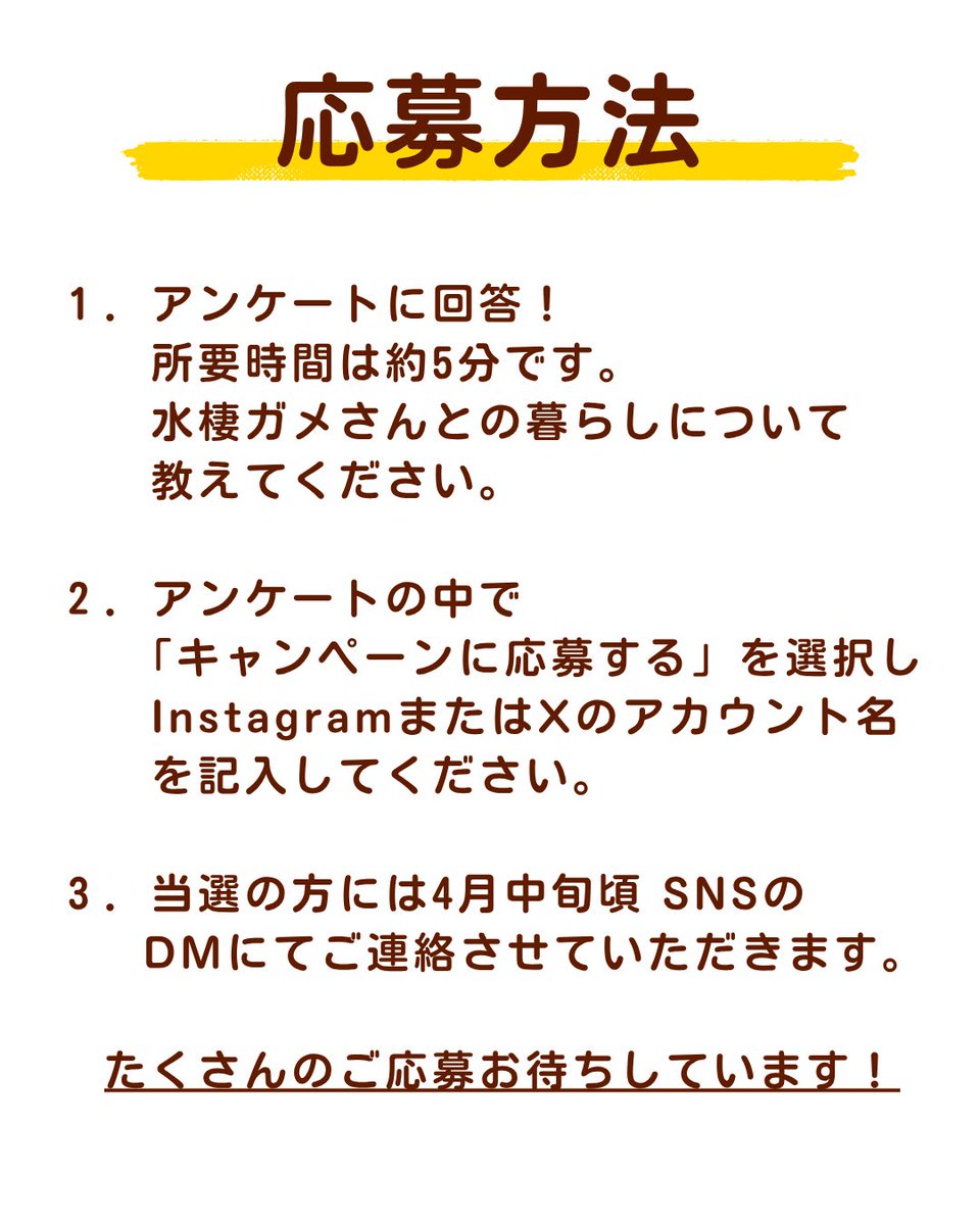 GEX ジェックス tweet media