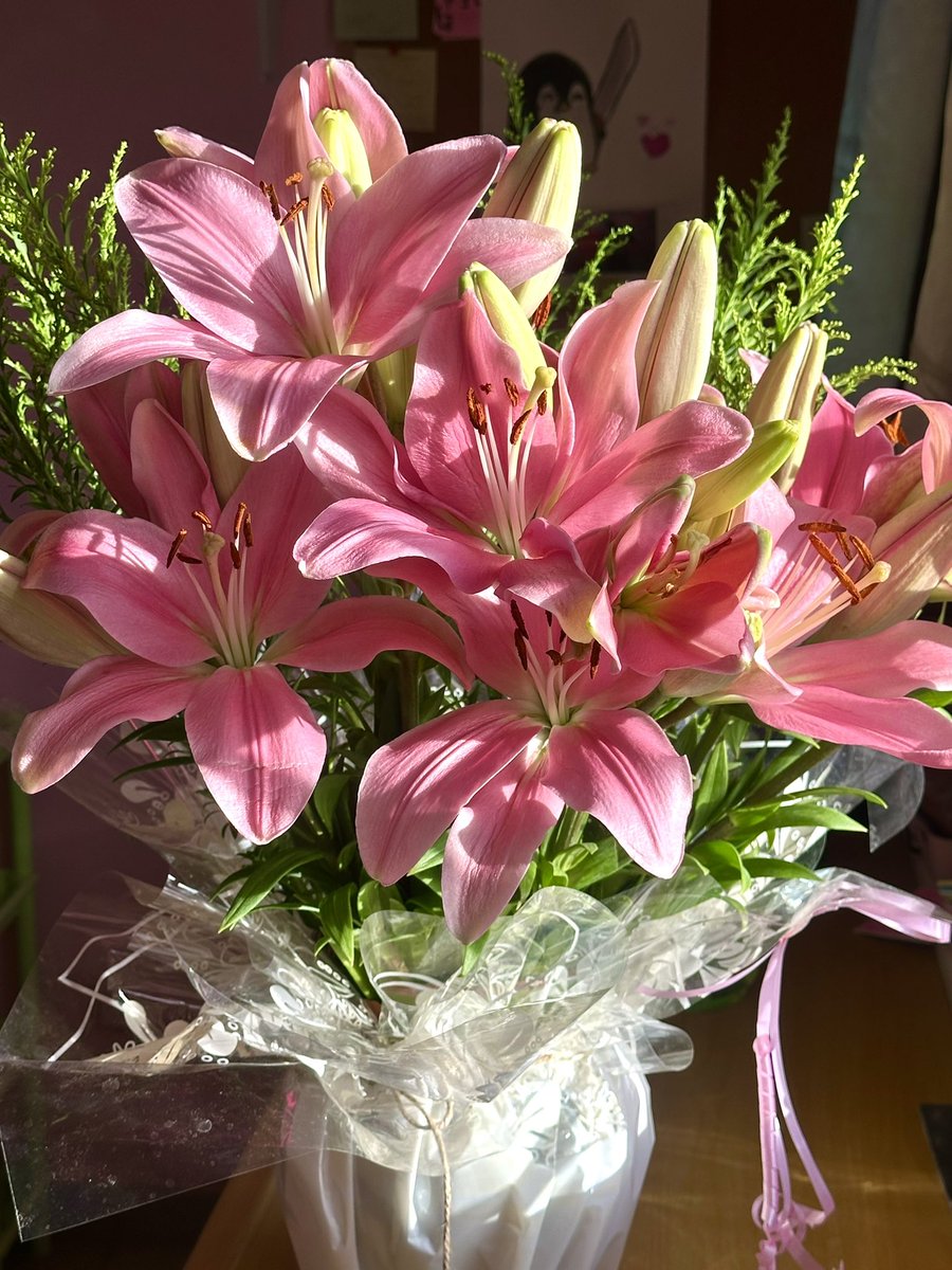 ˚₊‧꒰ა ☆ ໒꒱ ‧₊˚ tweet media