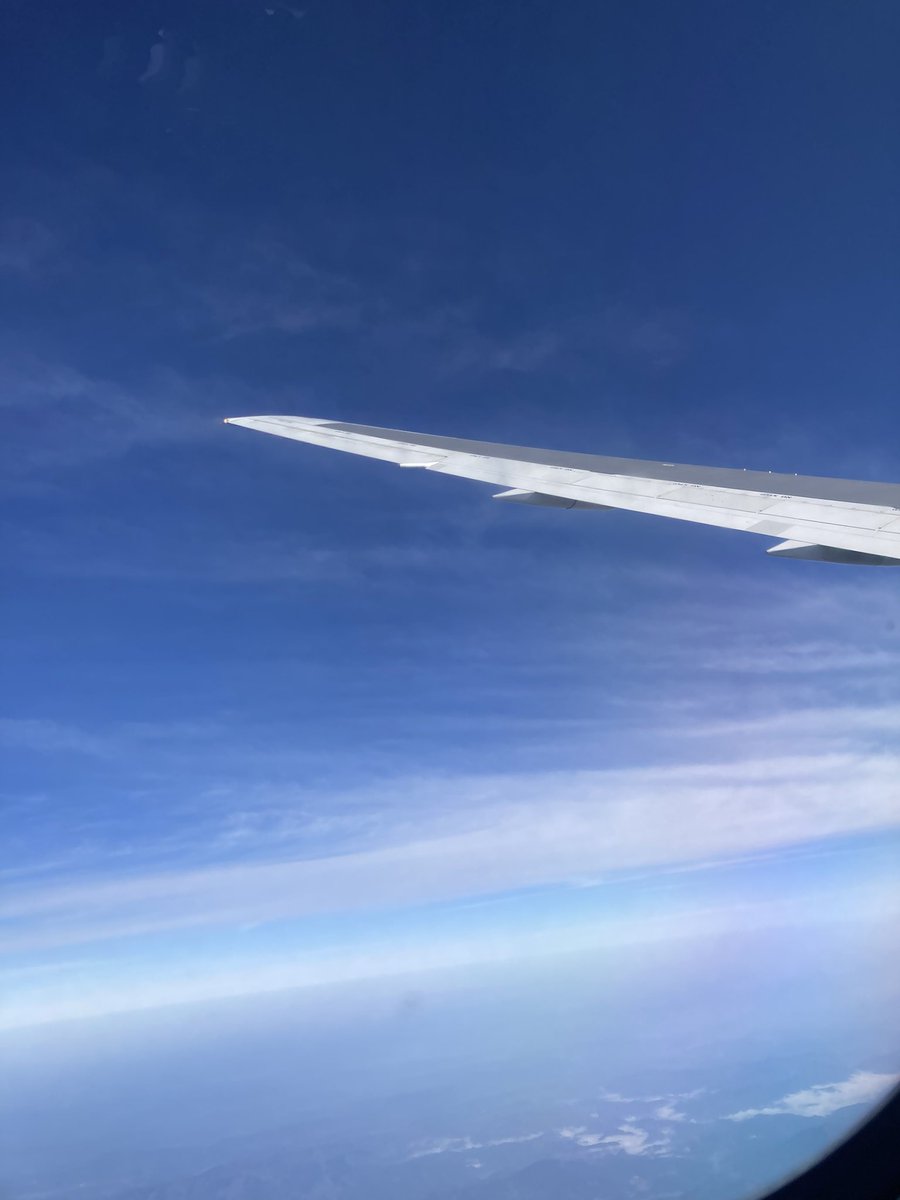 せりか tweet media