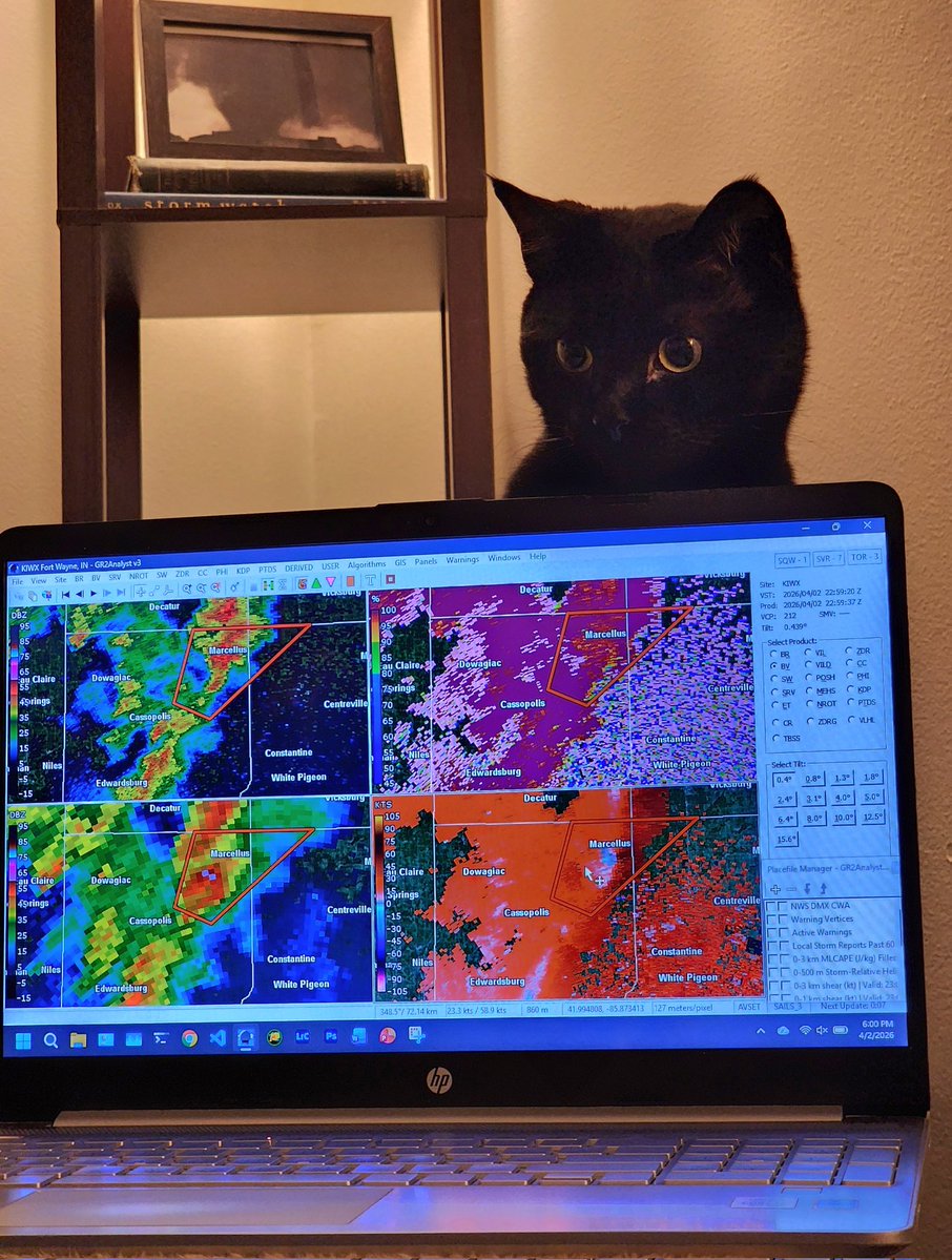 Kyle J Gillett tweet media