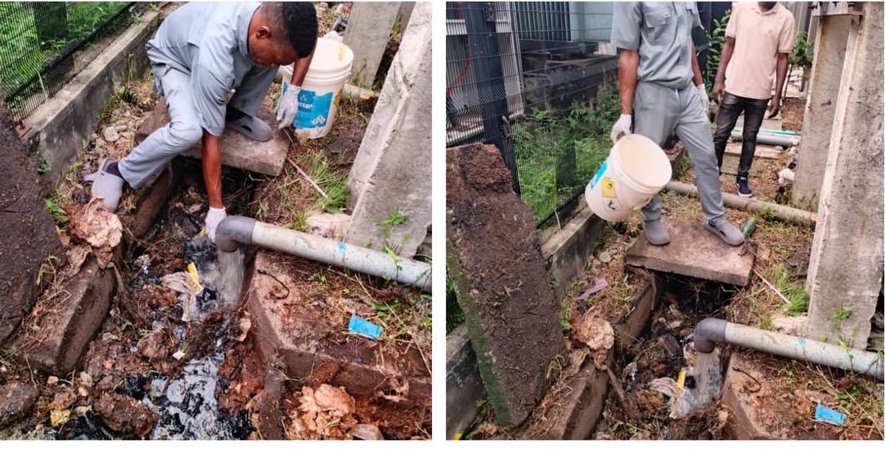 Segun Tobi tweet media