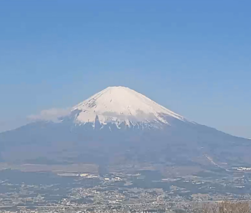 🦄神出鬼没なユニコーン🦄 tweet media