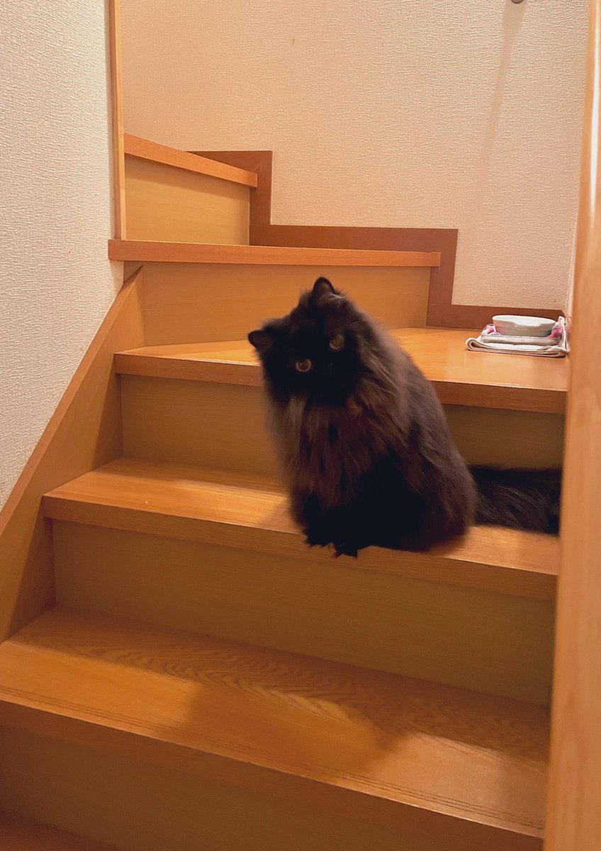 nonnon70 tweet media