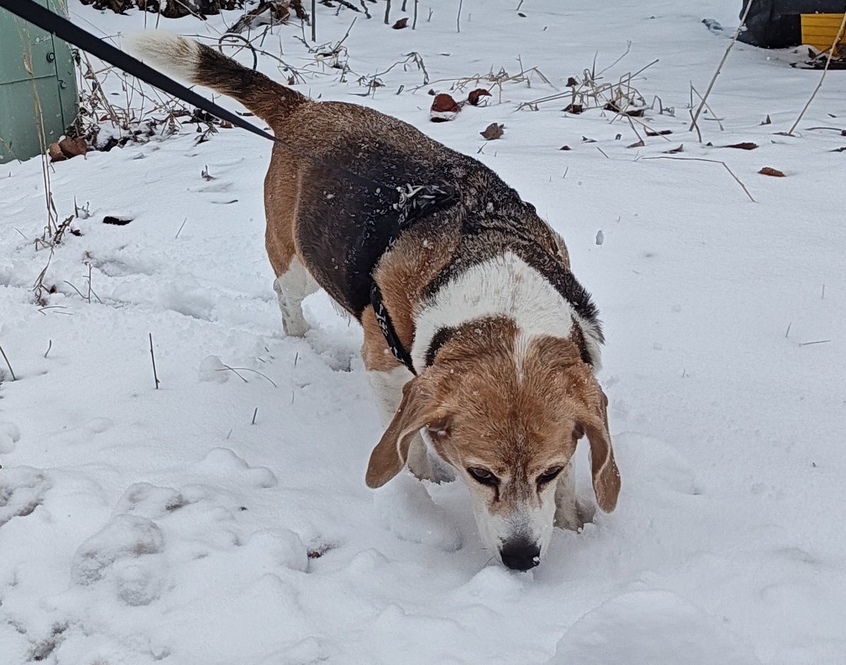 Ferguson y Jasper tweet media