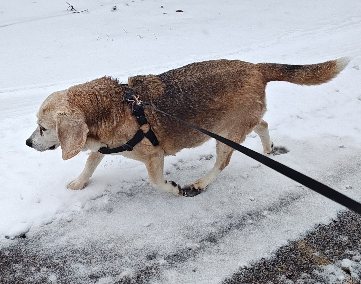 Ferguson y Jasper tweet media