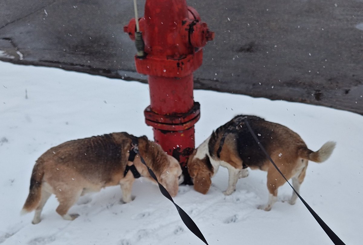 Ferguson y Jasper tweet media