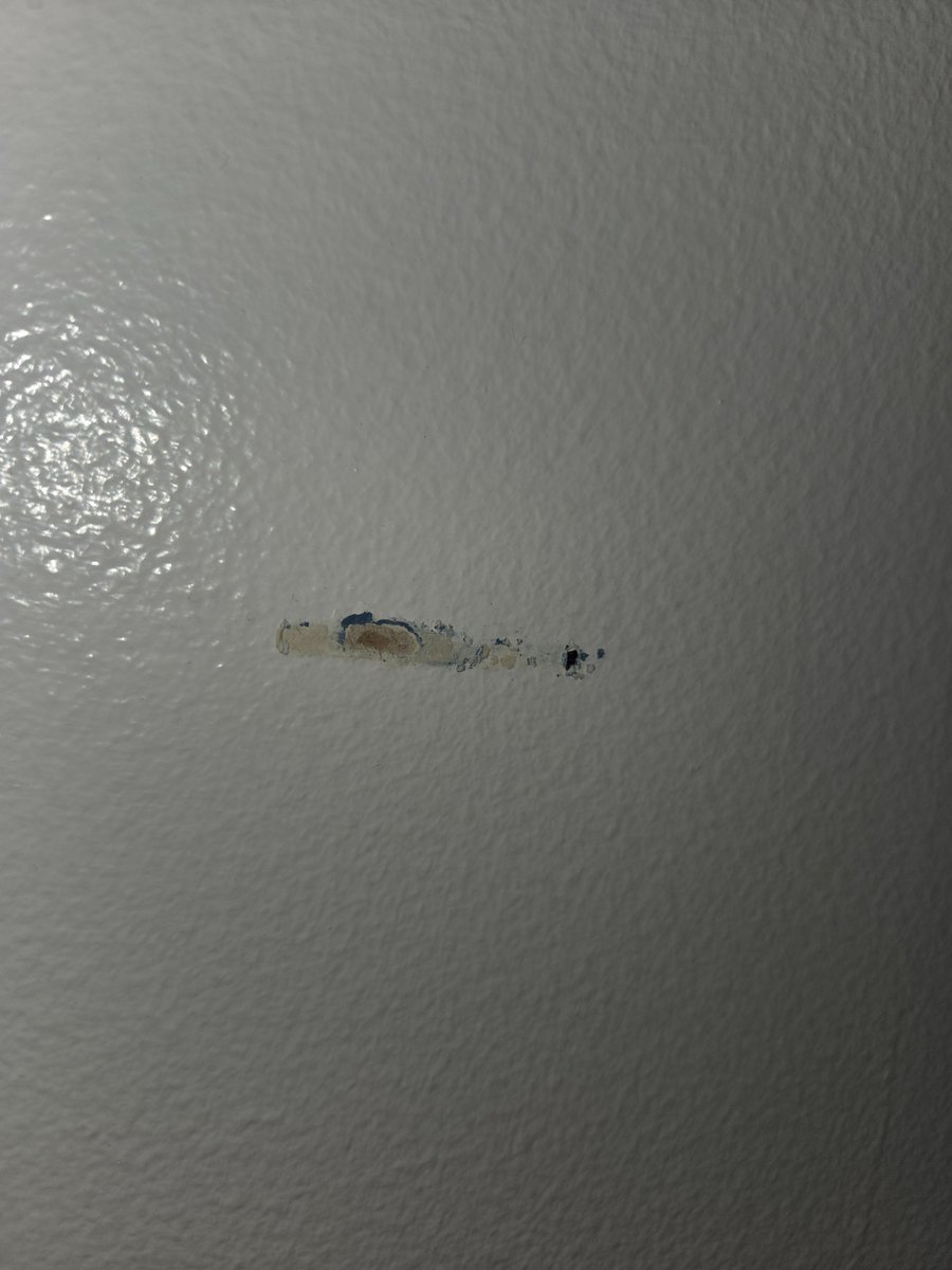 ᏞᏆΝᏦ ϴҒ ՏᎻͲᏔͲ ☽༓･*˚⁺‧͙ tweet media