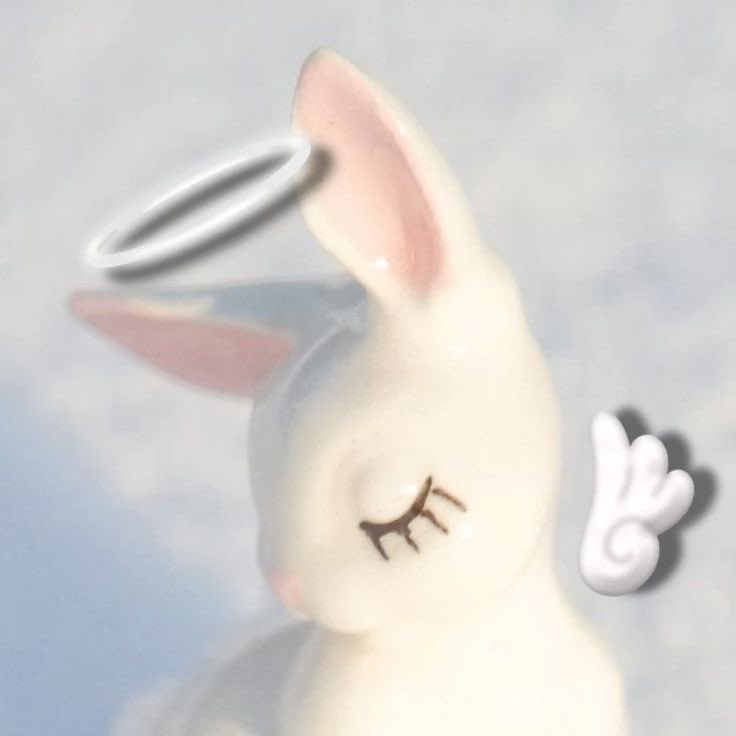 𝐴𝑛𝑔𝑒𝑙 tweet media