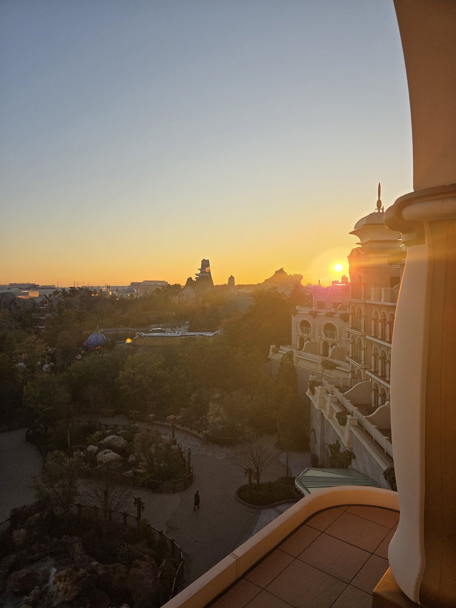 菊の魔術師　Japan tweet media