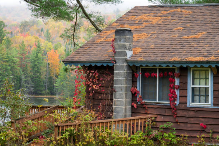 𝙷𝚒𝚌𝚔𝚖𝚊𝚗 tweet media