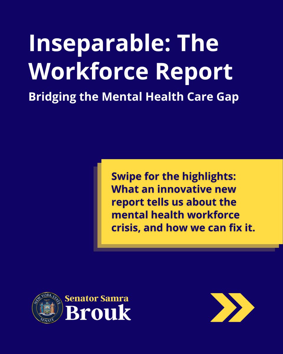 NYS Senator Samra Brouk tweet media