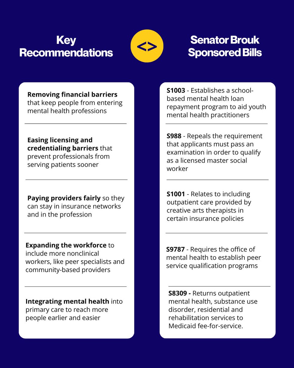 NYS Senator Samra Brouk tweet media
