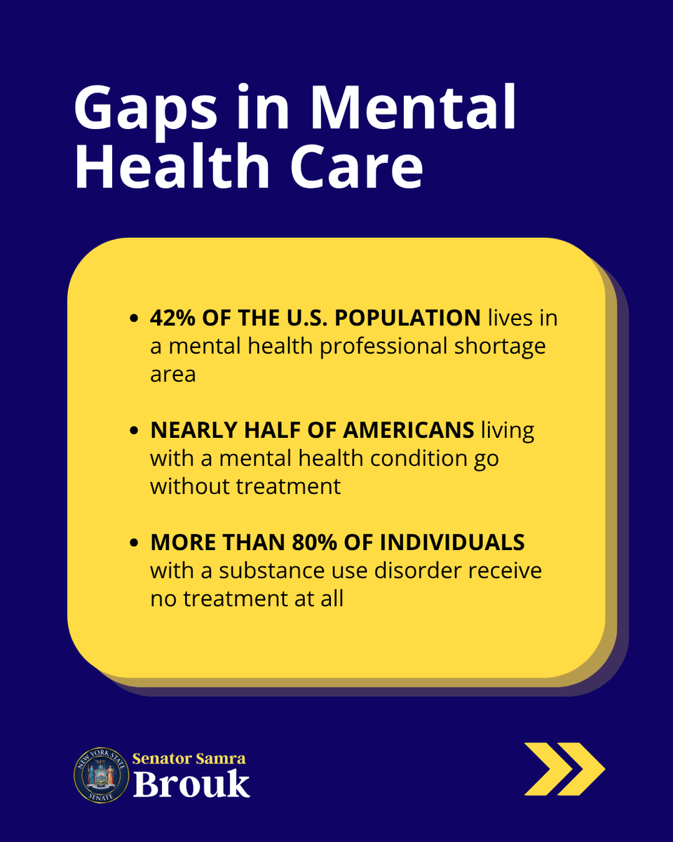 NYS Senator Samra Brouk tweet media