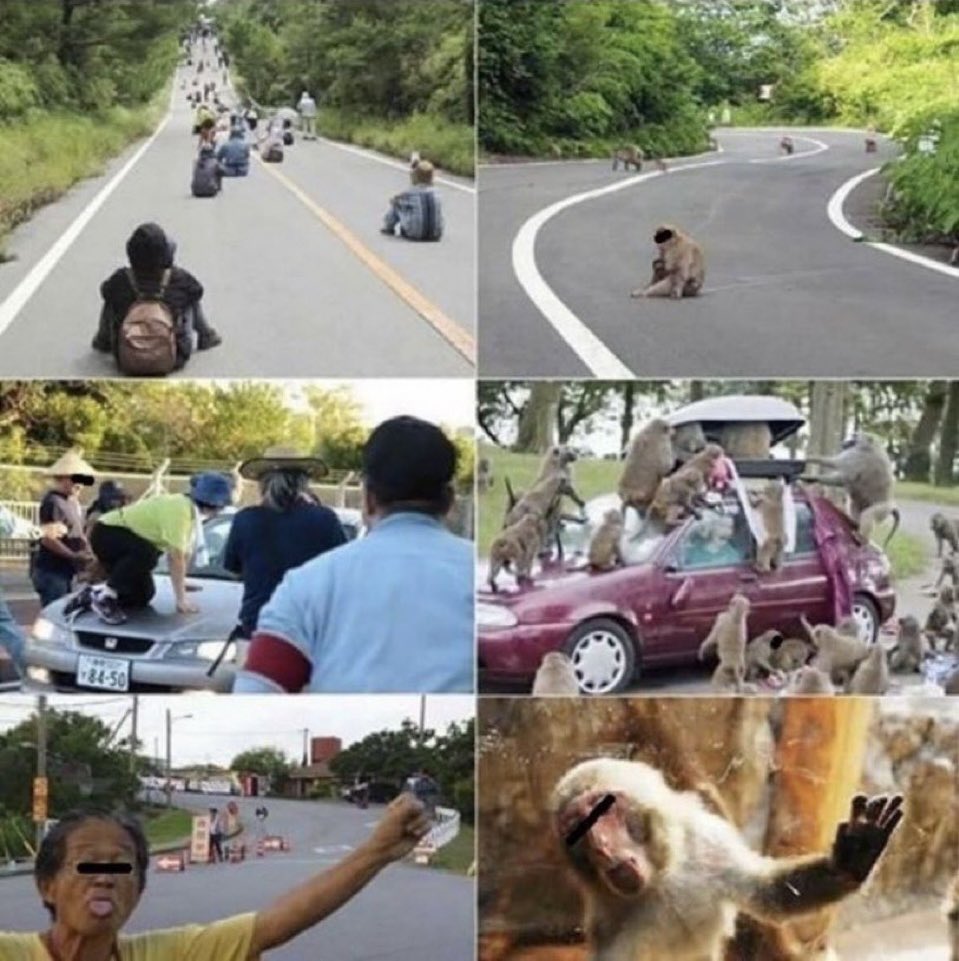 東郷ゆう子の旦那 tweet media