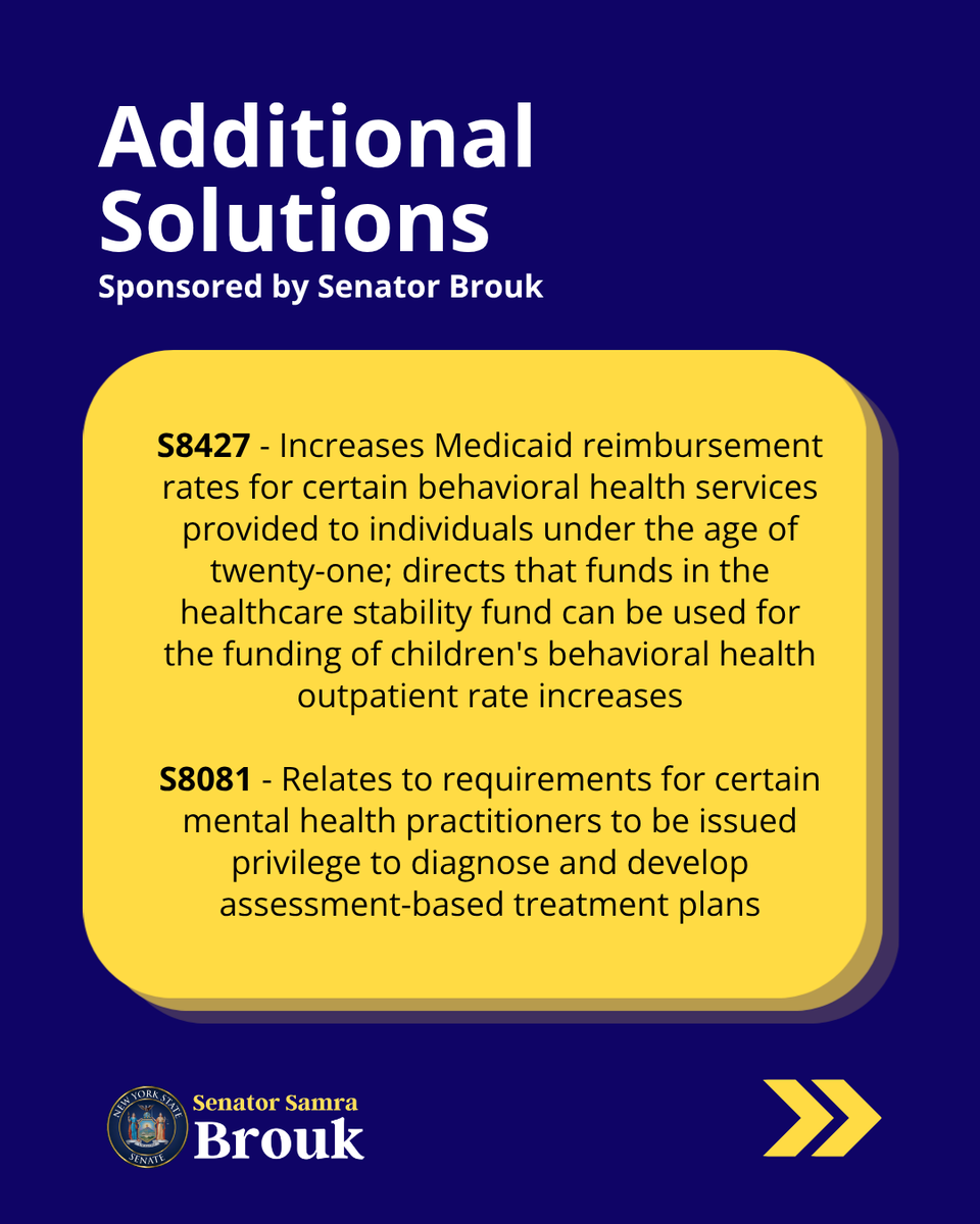 NYS Senator Samra Brouk tweet media