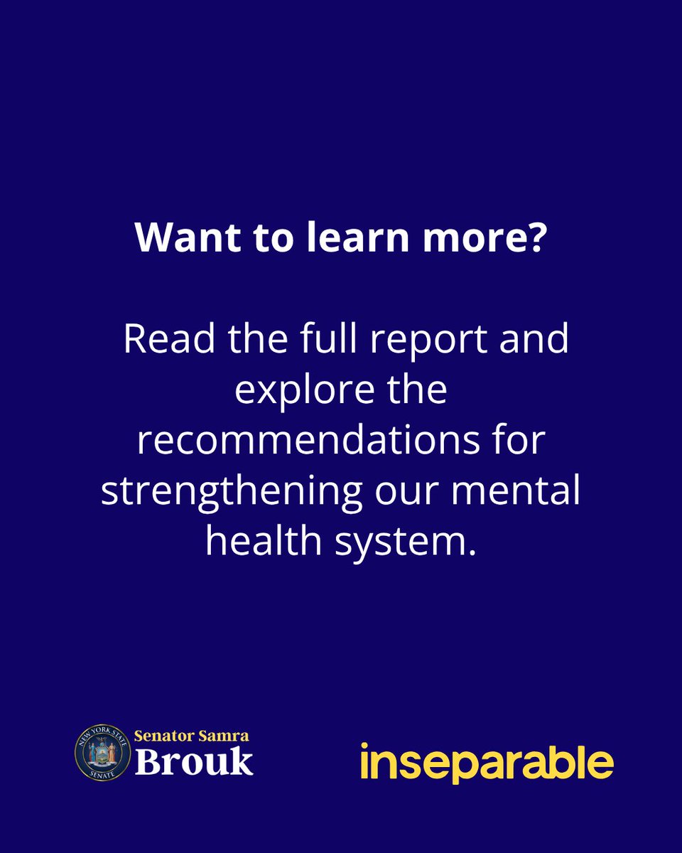 NYS Senator Samra Brouk tweet media