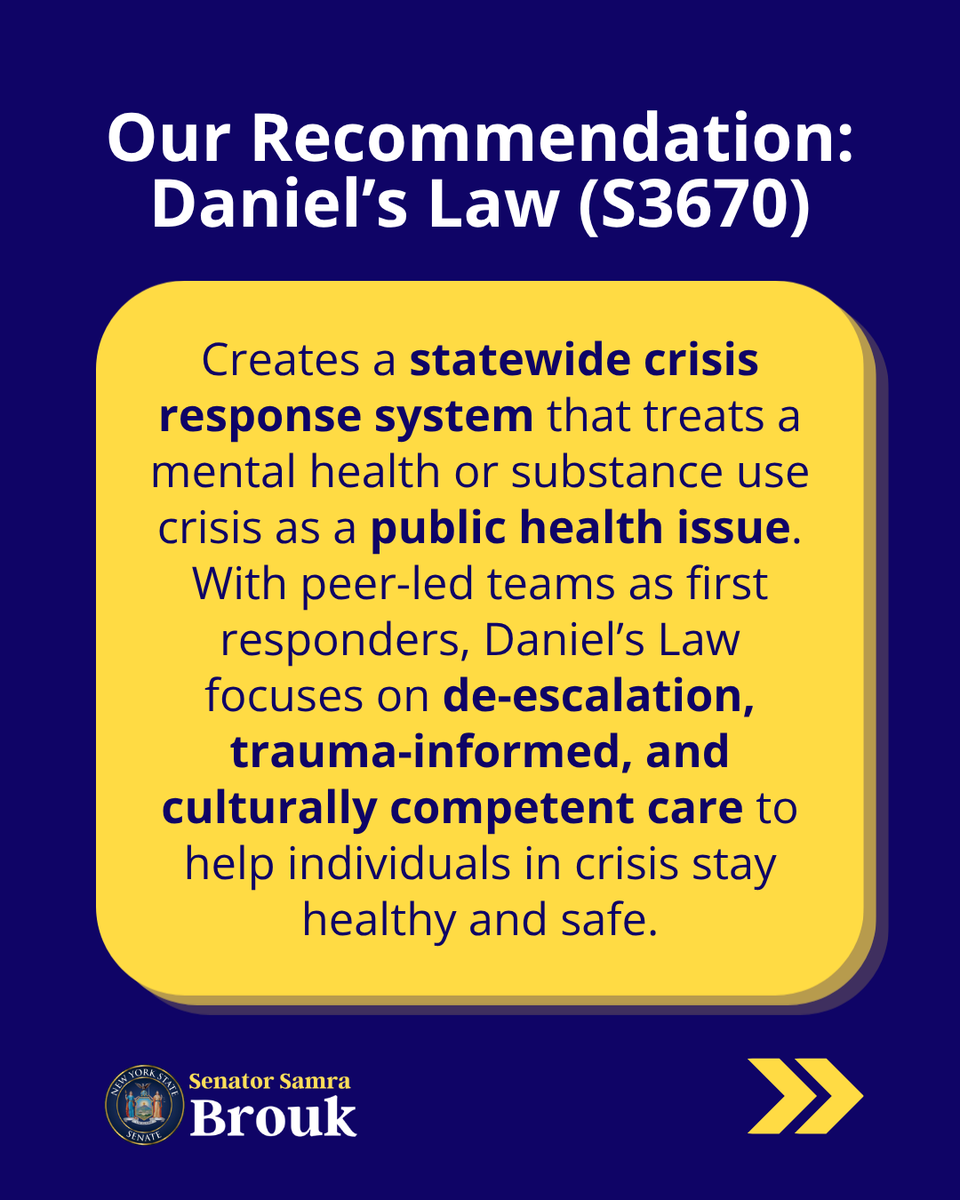 NYS Senator Samra Brouk tweet media