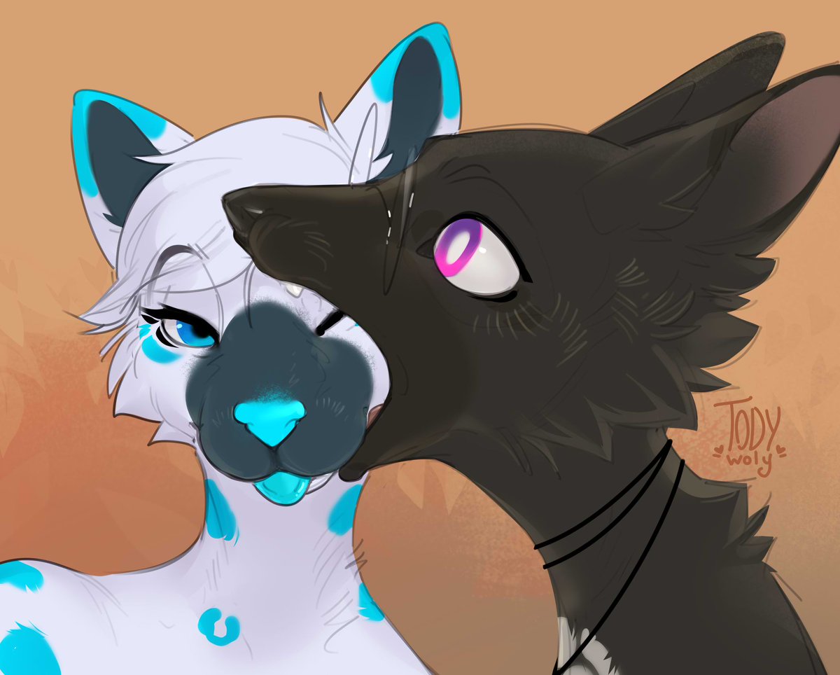 🤍TODY🤍 tweet media