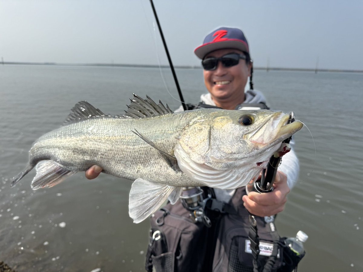 大内紀幸 tweet media