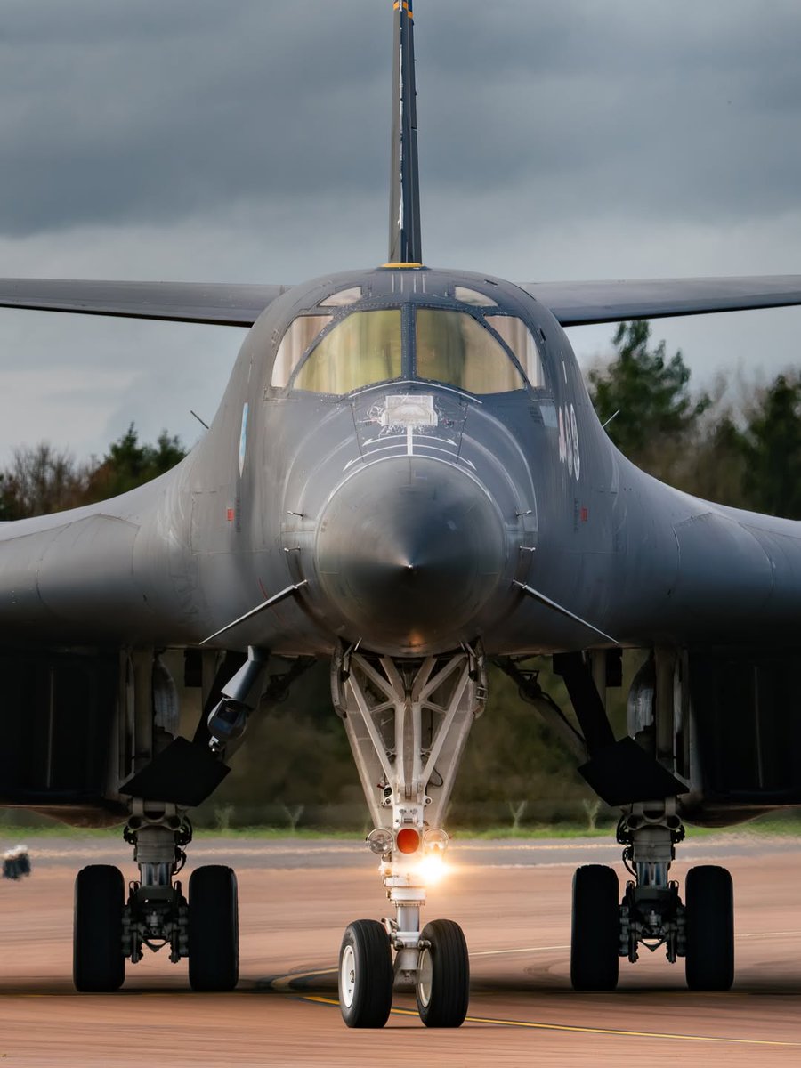 Rkzasafari tweet media