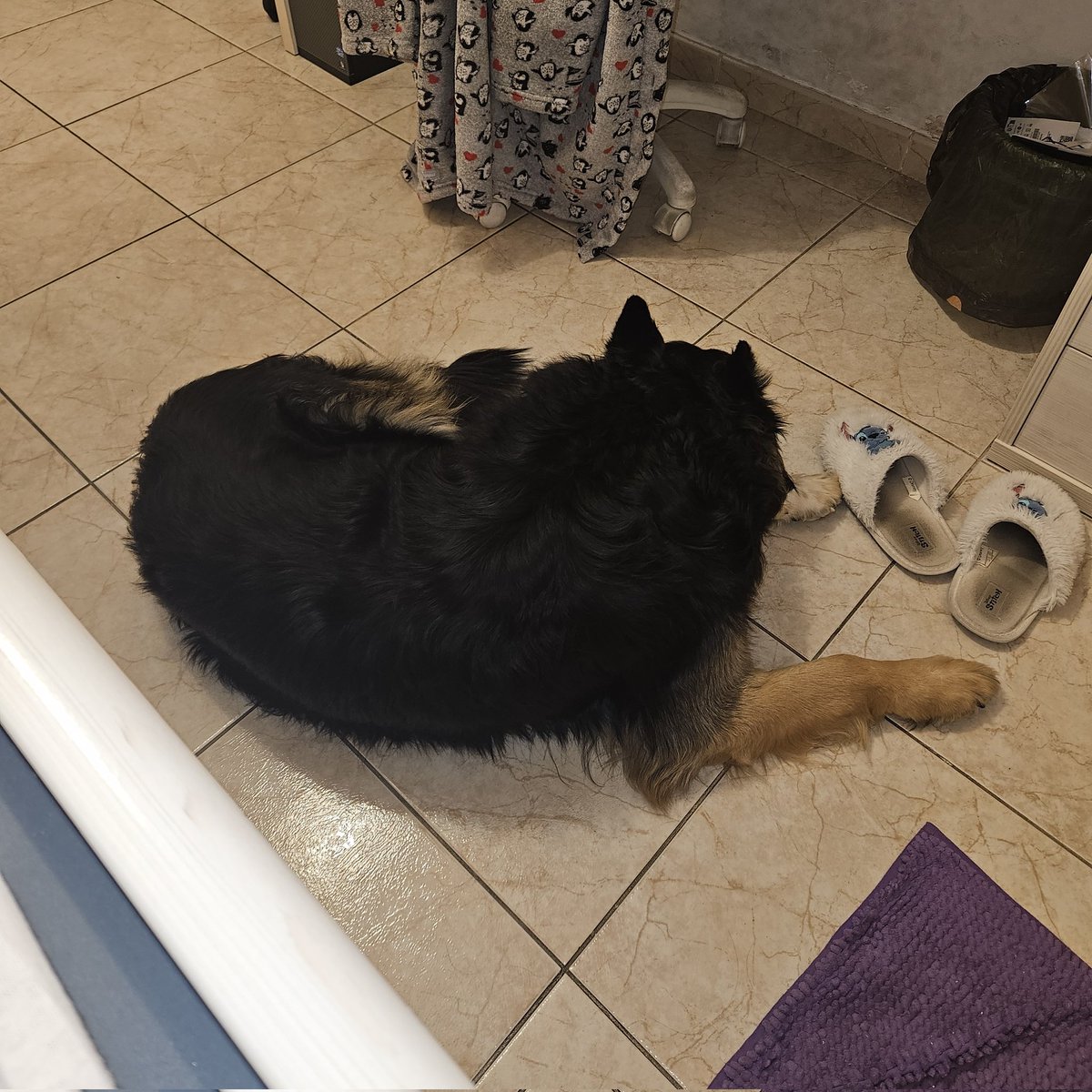 nonii ❀ tweet media