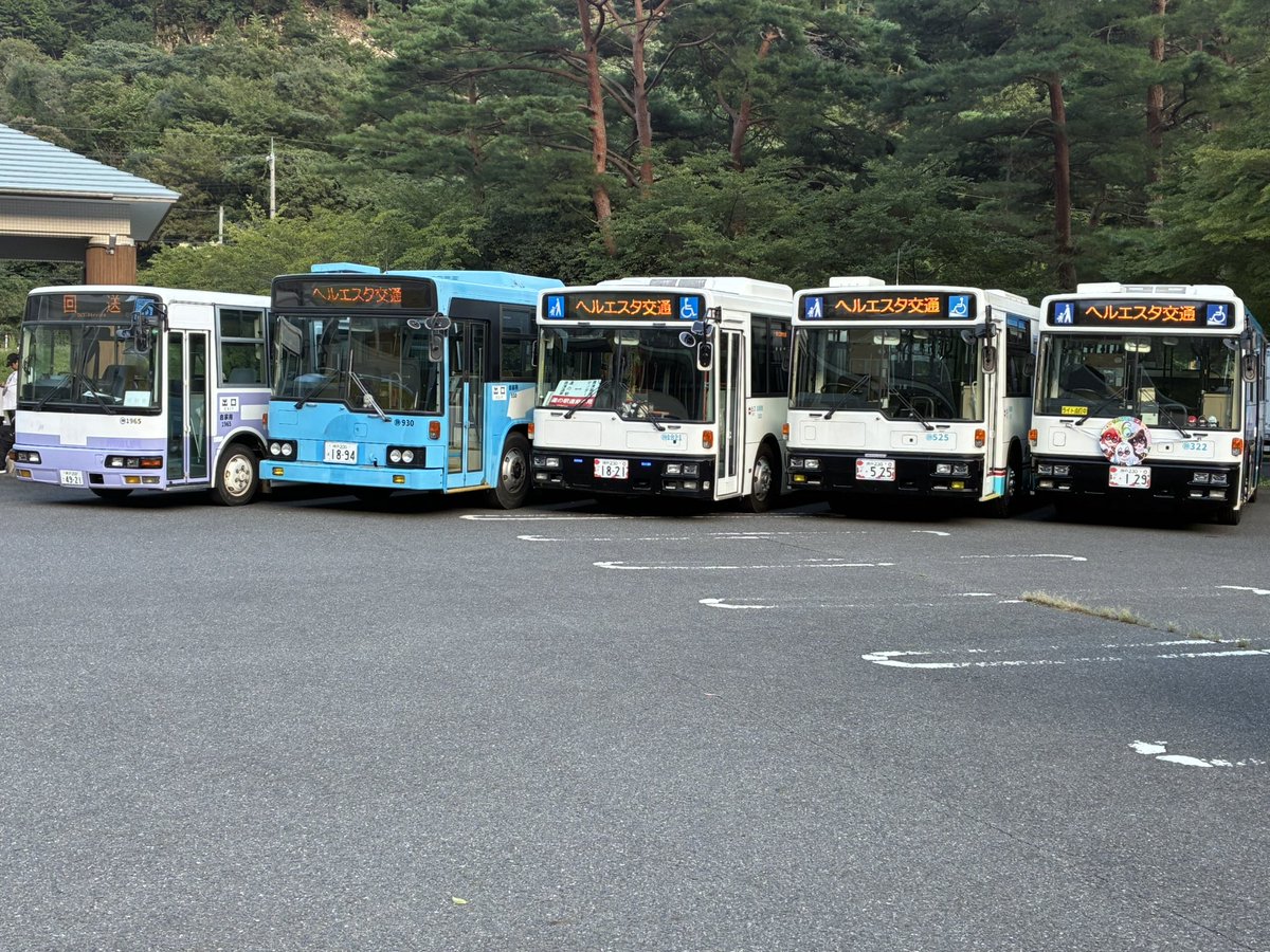 こっくん…👑🍹⚖ tweet media