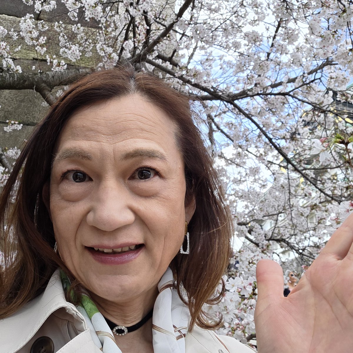 秋山 恵(けい)♂ tweet media