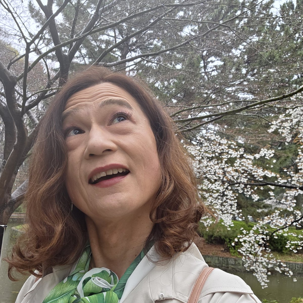 秋山 恵(けい)♂ tweet media